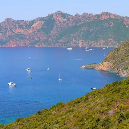 Les Eucalyptus, A 500m De La Et Du Centre