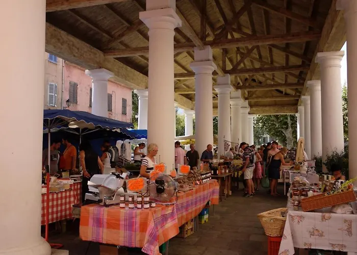 Les Eucalyptus, A 500m De La Et Du Centre Appartement *