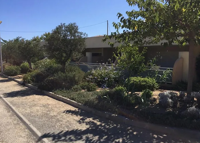 Appartement Les Eucalyptus, A 500m De La Et Du Centre