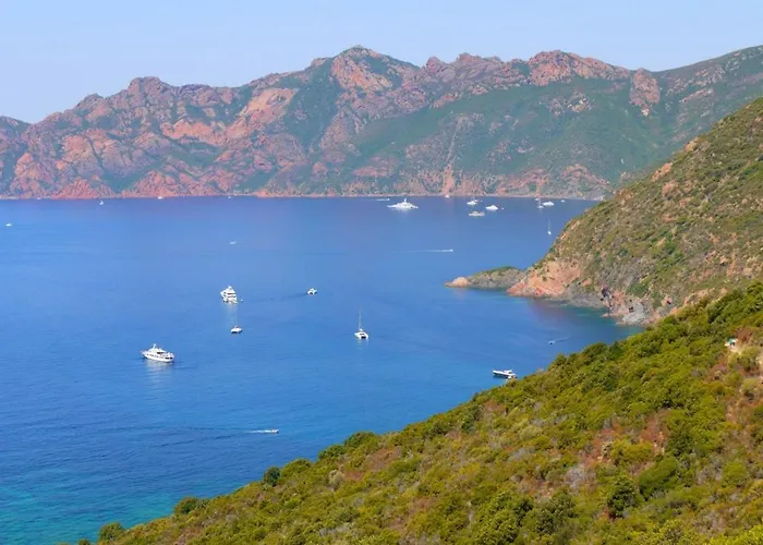 Les Eucalyptus, A 500m De La Et Du Centre