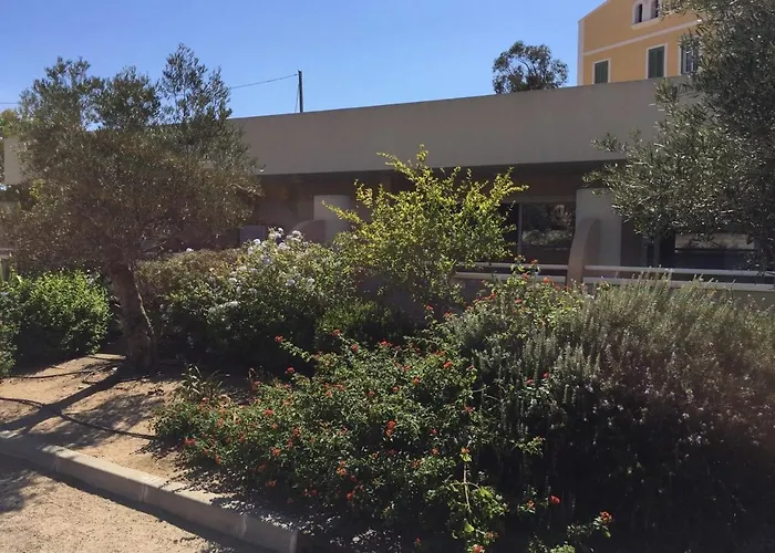 Appartement Les Eucalyptus, A 500m De La Et Du Centre