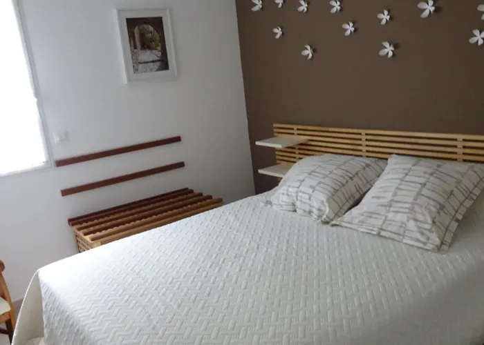 Les Eucalyptus, A 500m De La Et Du Centre *