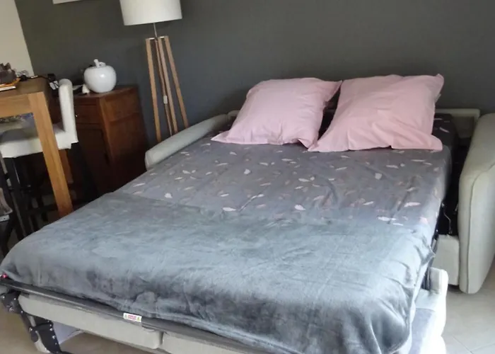 Appartement Les Eucalyptus, A 500m De La Et Du Centre