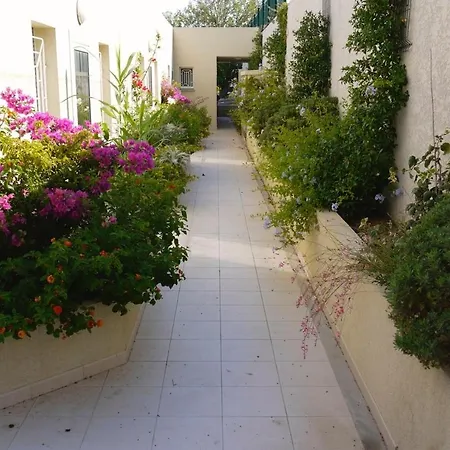 Résidence Les Eucalyptus, à 500m De La Et Du Centre Apartamento LʼÎle-Rousse